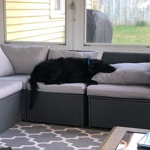 Meet your Posher, Ben